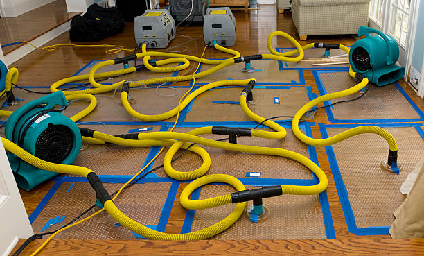 Professional Water Damage Restoration technician working in Wyckoff, NJ